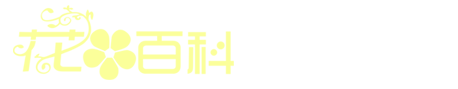 芍药花网